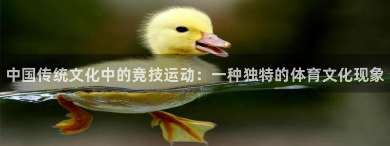 3377体育官方正版app集团官网首页网址：中国传统