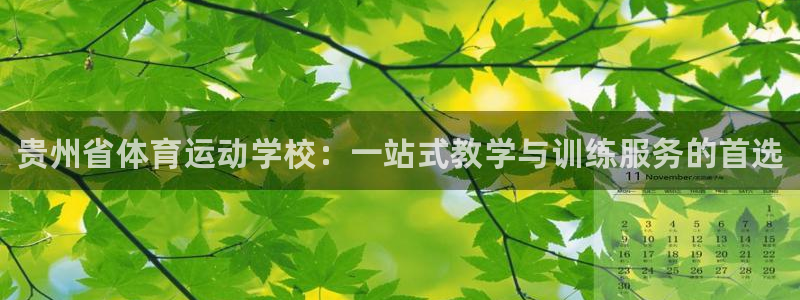 3377体育官方正版app娱乐下载：贵州省体育运动学