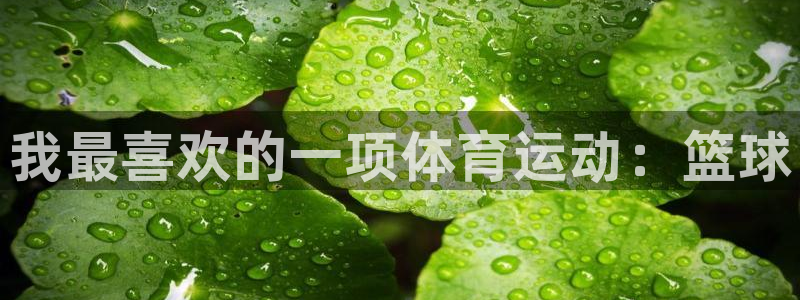 3377体育官方正版app娱乐：我最喜欢的一项体育运