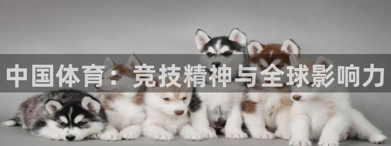 3377体育官网下载招商电话是多少：中国体育：竞技精