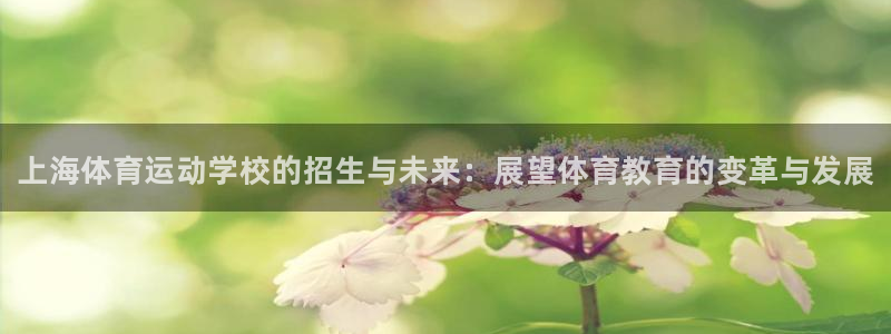 3377体育官方正版app娱乐代理怎么样：上海体育运