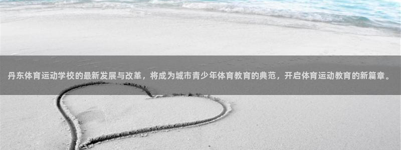 3377体育官方正版app集团logo：丹东体育运动