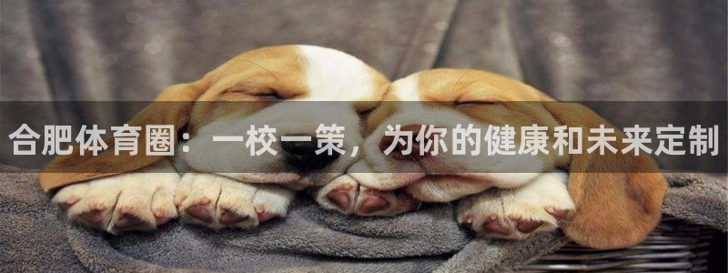 3377体育官方正版app娱乐：合肥体育圈：一校一策