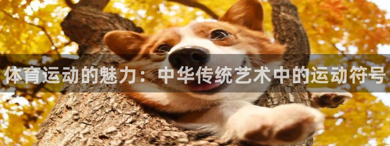 3377体育官网下载联系电话：体育运动的魅力：中华传