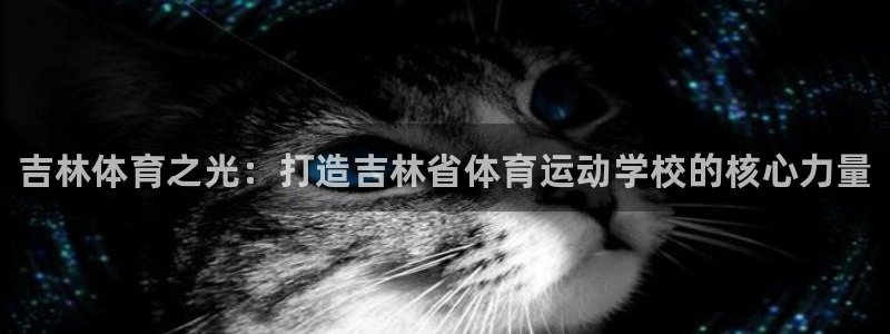 3377体育官方正版app神州：吉林体育之光：打造吉