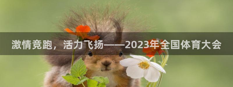 3377体育官网下载开户：激情竞跑，活力飞扬——20