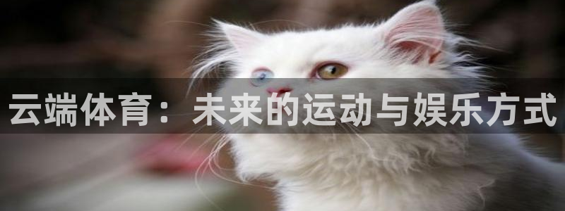 3377体育官网下载是干嘛的公司