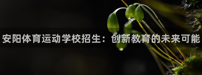 3377体育官方正版app集团官网网址：安阳体育运动学校招生