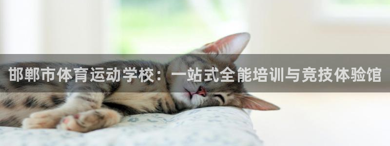 3377体育官网下载平台是正规平台吗：邯郸市体育运动学校：一