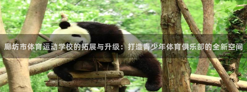 3377体育官网下载招商电话地址是多少