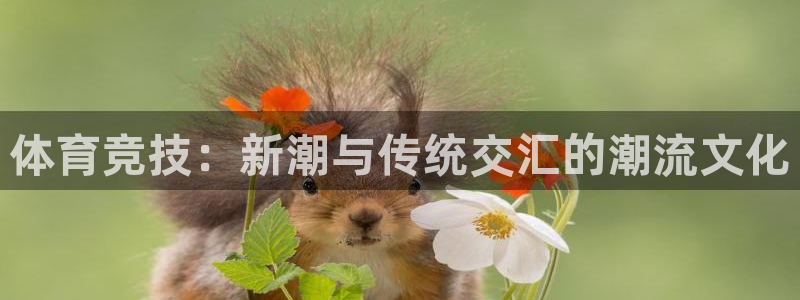 3377体育官网下载招商电话号码查询：体育竞技：新潮与传统交
