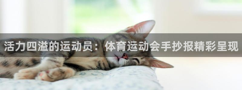 3377体育官网下载平台：活力四溢的运动员：体育运动