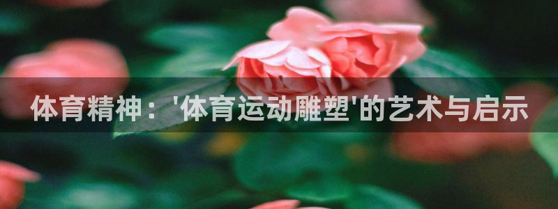 3377体育官网下载平台是正规平台吗安全吗：体育精神