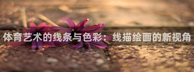 3377体育官网下载平台假的吗是真的吗吗：体育艺术的