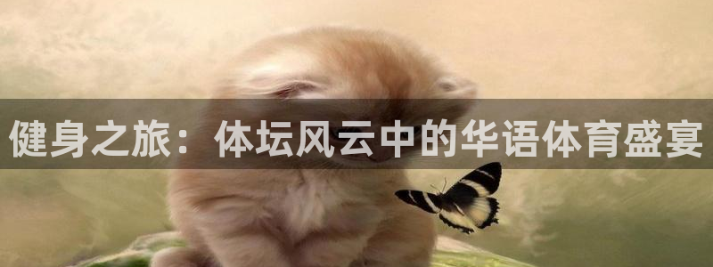 3377体育官网下载招商电话地址是多少：健身之旅：体坛风云中