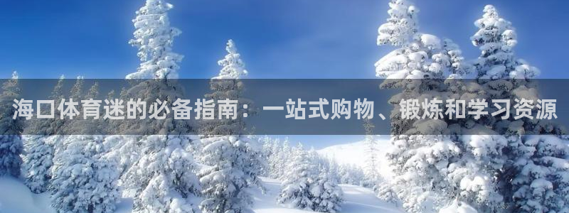 3377体育官方正版app官方：海口体育迷的必备指南：一站式