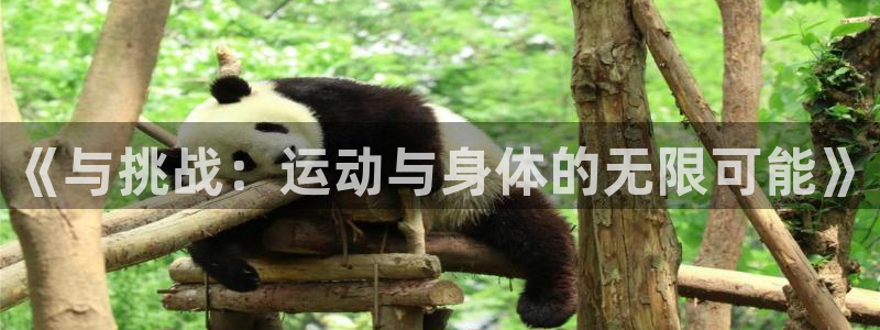3377体育官方平台体育：《与挑战：运动与身体的无限可能》