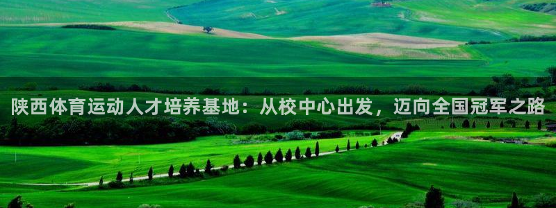3377体育官方正版app集团E.ON:陕西体育运动人才培养