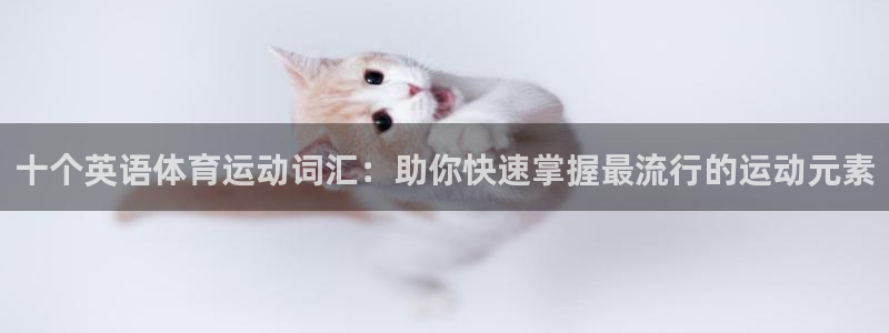 3377体育官方正版app娱乐首页官网下载:十个英语体育运动