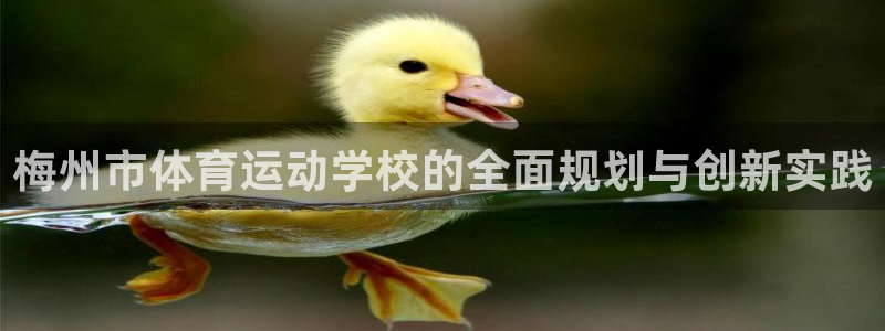 3377体育官网下载娱乐:梅州市体育运动学校的全面规划与创新