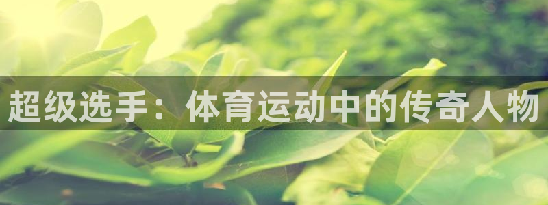 3377体育官方正版app神州:超级选手:体育运动中的传奇人