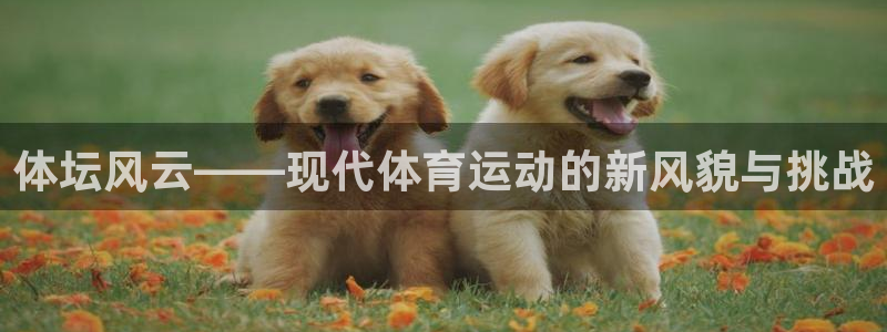3377体育官方正版app娱乐40996:体坛风云——现代体