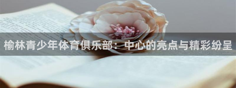 3377体育官方正版app集团官网网址