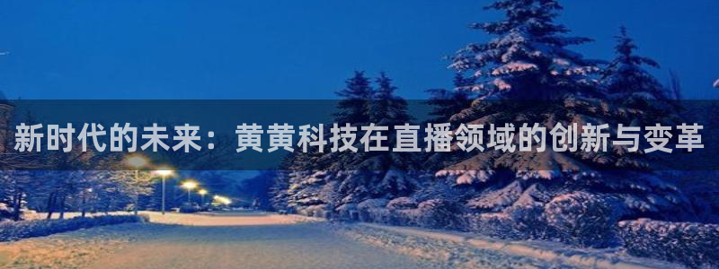 919体育直播间在线看：新时代的未来：黄黄科技在直播领域的创新与变革